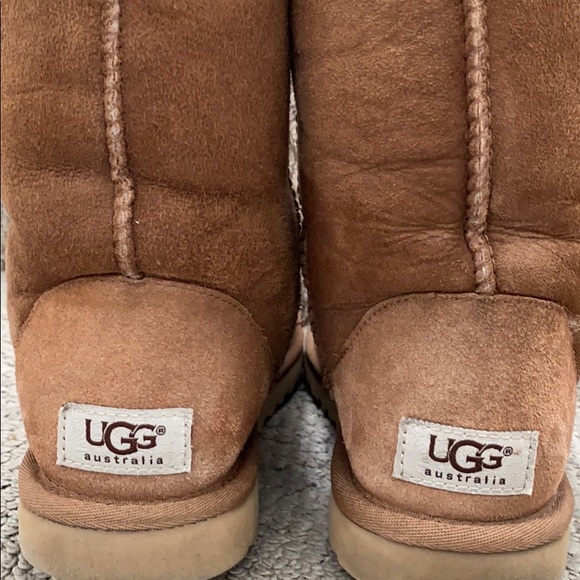 UGG Australia Classic Short Chestnut Boot - Picture 8 of 8